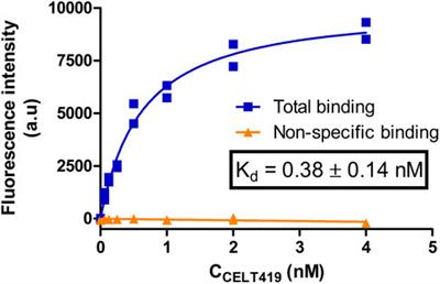 Fluorescence based HTS-compatible ligand binding assays for dopamine D3 receptors in baculovirus preparations and live cells